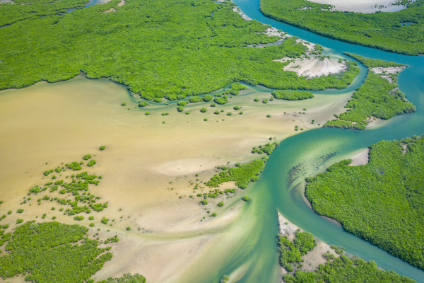 landscape-senegal