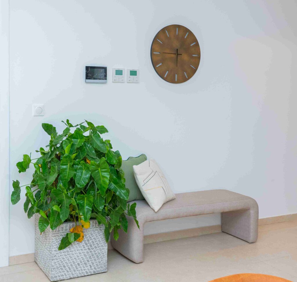Horloge murale en bois et plante verte intérieure